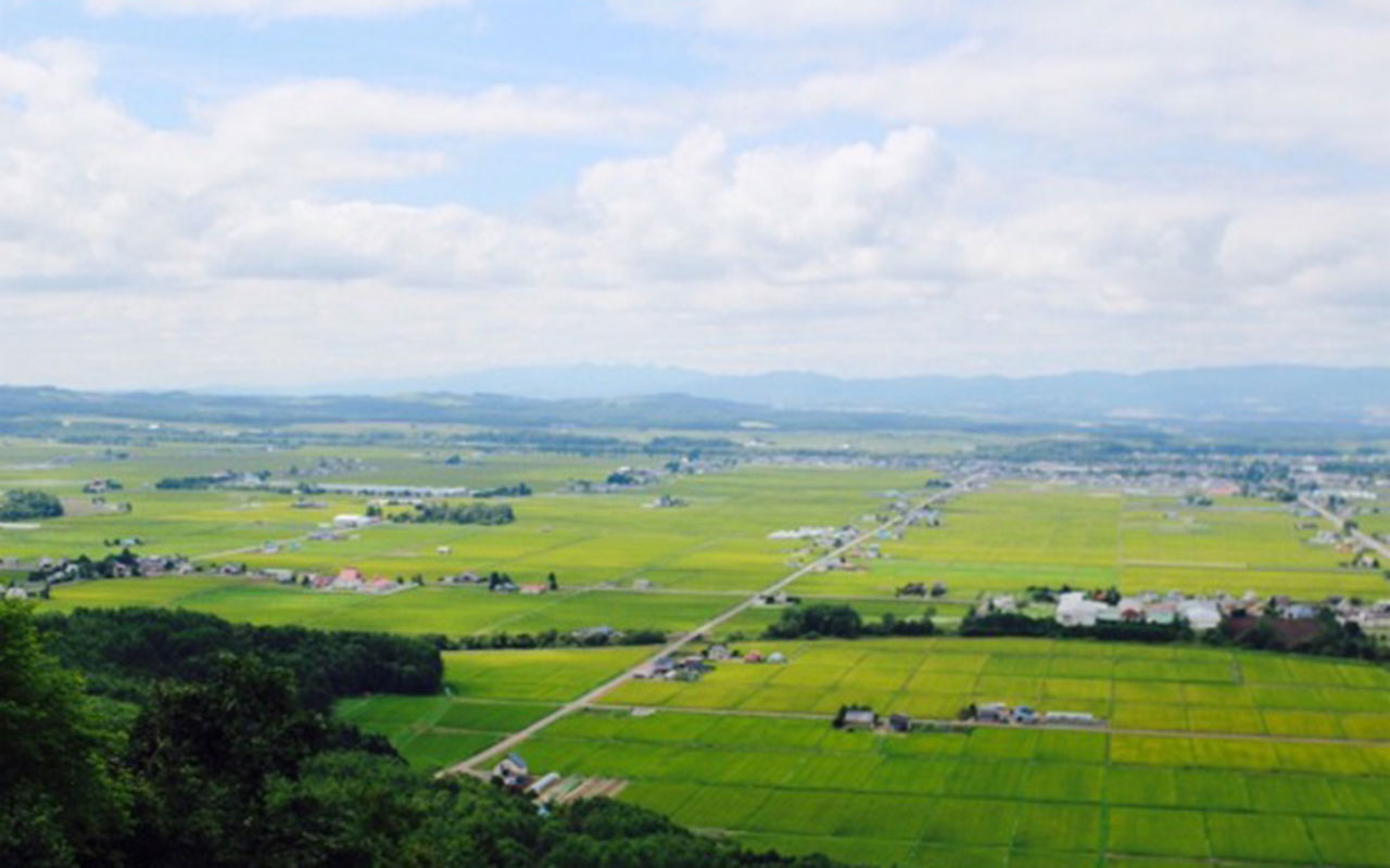 東川町 移住 失敗