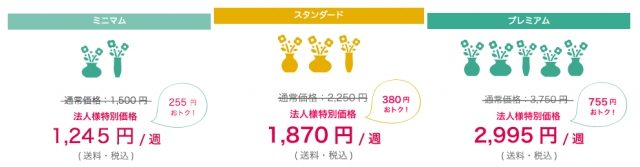 Bloomee LIFE ブルーミーライフ法人向けプラン