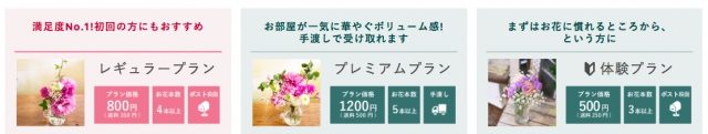 Bloomee LIFE ブルーミーライフ個人向けプラン