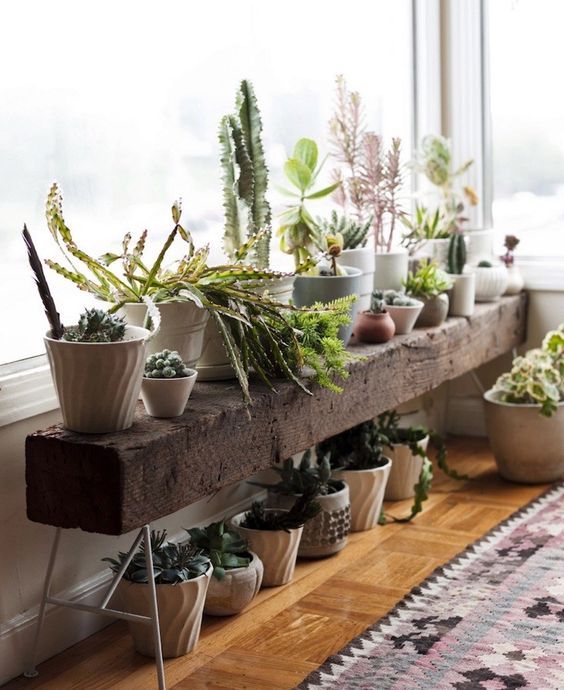 image 植物を等間隔に並べる
