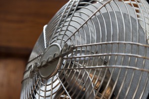 image ボルネード・シルバースワンSWAN-JPの羽根