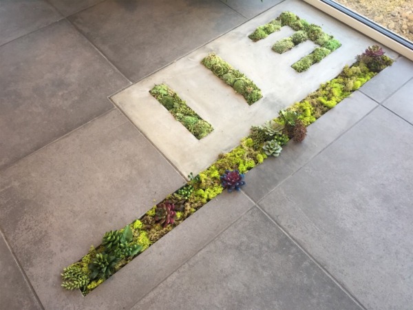 image 土間に苔によるリヨの文字