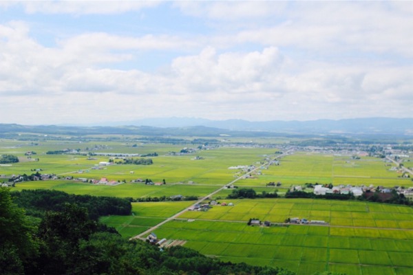 キトウシ展望閣から見た東川一望