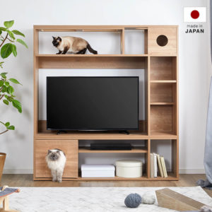 天窓付キャットウォーク壁面収納付テレビ台