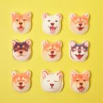 柴犬ほうずい