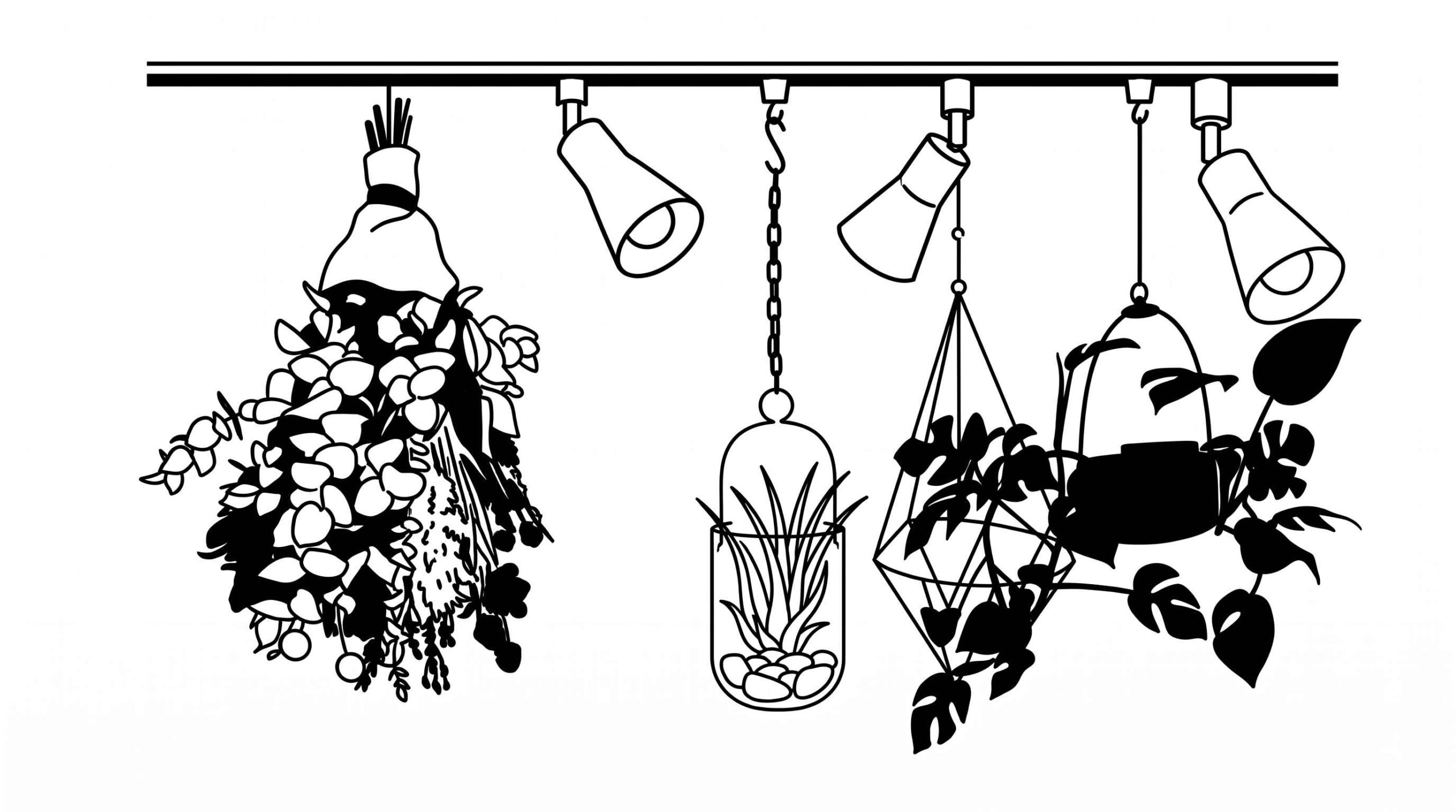 ダクトレール 観葉植物 フック